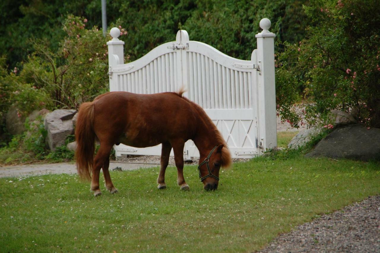 Ostseepferdehof Neukirchen  외부 사진